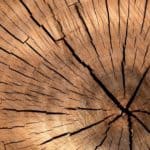 How To Stop Cracks in Wood from Spreading